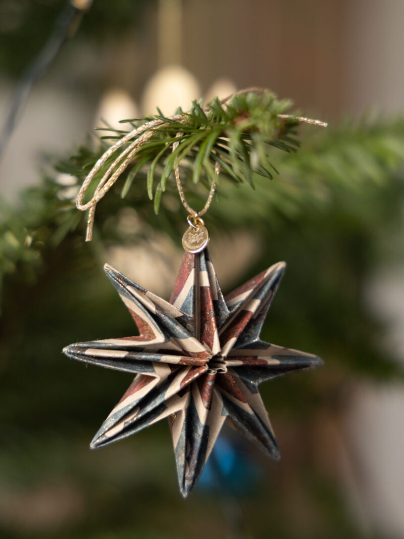 8 POINT STAR - SMALL MULTI